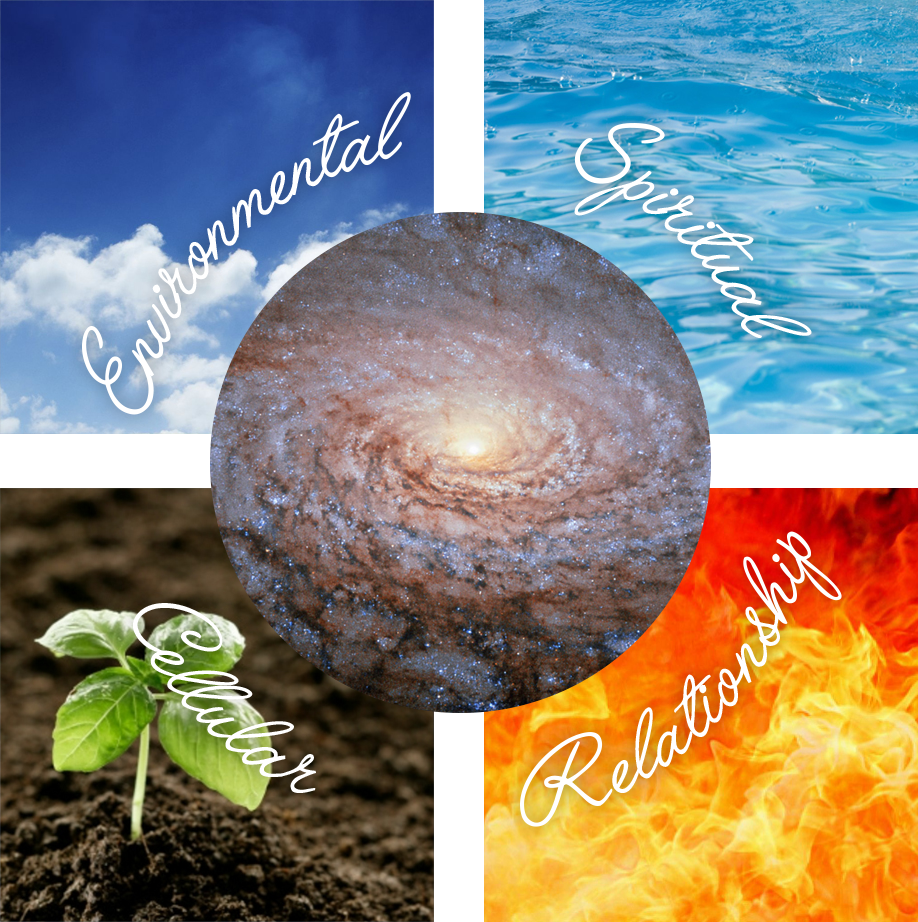 5 Elements of Ayurveda